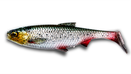 Guma Savage Gear 3D River Roach 12cm | Green Silver