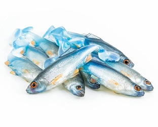 Przynęta ANGRY LURES Roach - 9cm - NBO