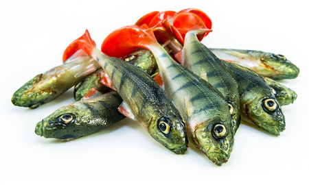Guma Angry Lures Ruffe 10cm | PCH