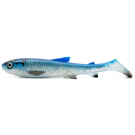 Guma Savage Gear 3D Whitefish Shad 20cm | Blue Silver