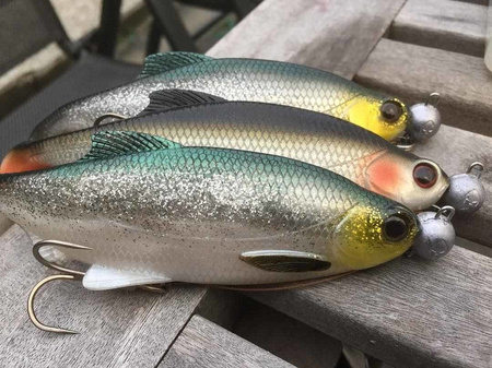 Guma Westin Ricky the Roach ST 14cm | Headlight