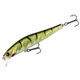 Green Perch