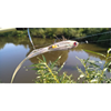 Mucha szczupakowa Predator Fly Manufacture 20cm | PF 35