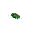 Wobler Engima Baits Owad 3cm | Oliwkowy-Zielony | pływający