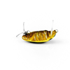 Wobler Imago Lures Pływak żółtobrzeżek 3,5cm - pływający - BK