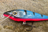 Wobler Great Fish Neon 8cm | 006 | neutralny