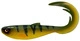 Yellow Perch