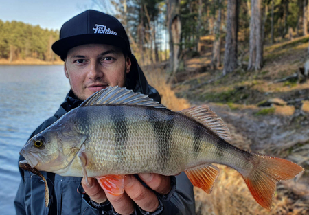 Przynęta PERCH PROFESSOR F**king Leech 2,75"/7cm - #04 Black - 8 szt.