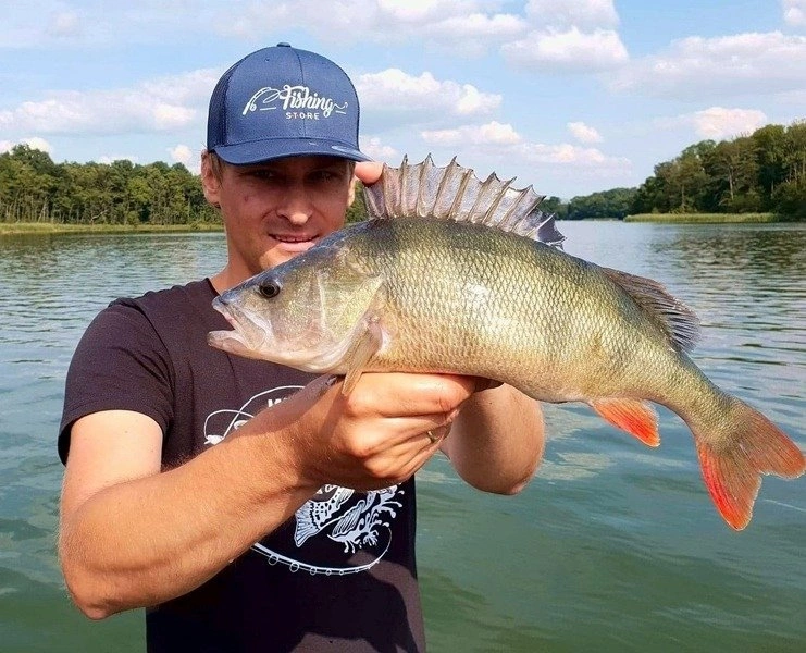 Keitech Easy Shiner 3"/7,62cm #LT205 Bluegill - 10szt.