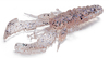 Guma Westin CreCraw Creaturebait 6,5cm | Oyster