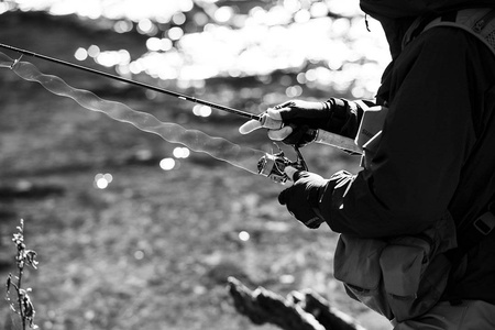 Kołowrotek Shimano Stella 2500 FK