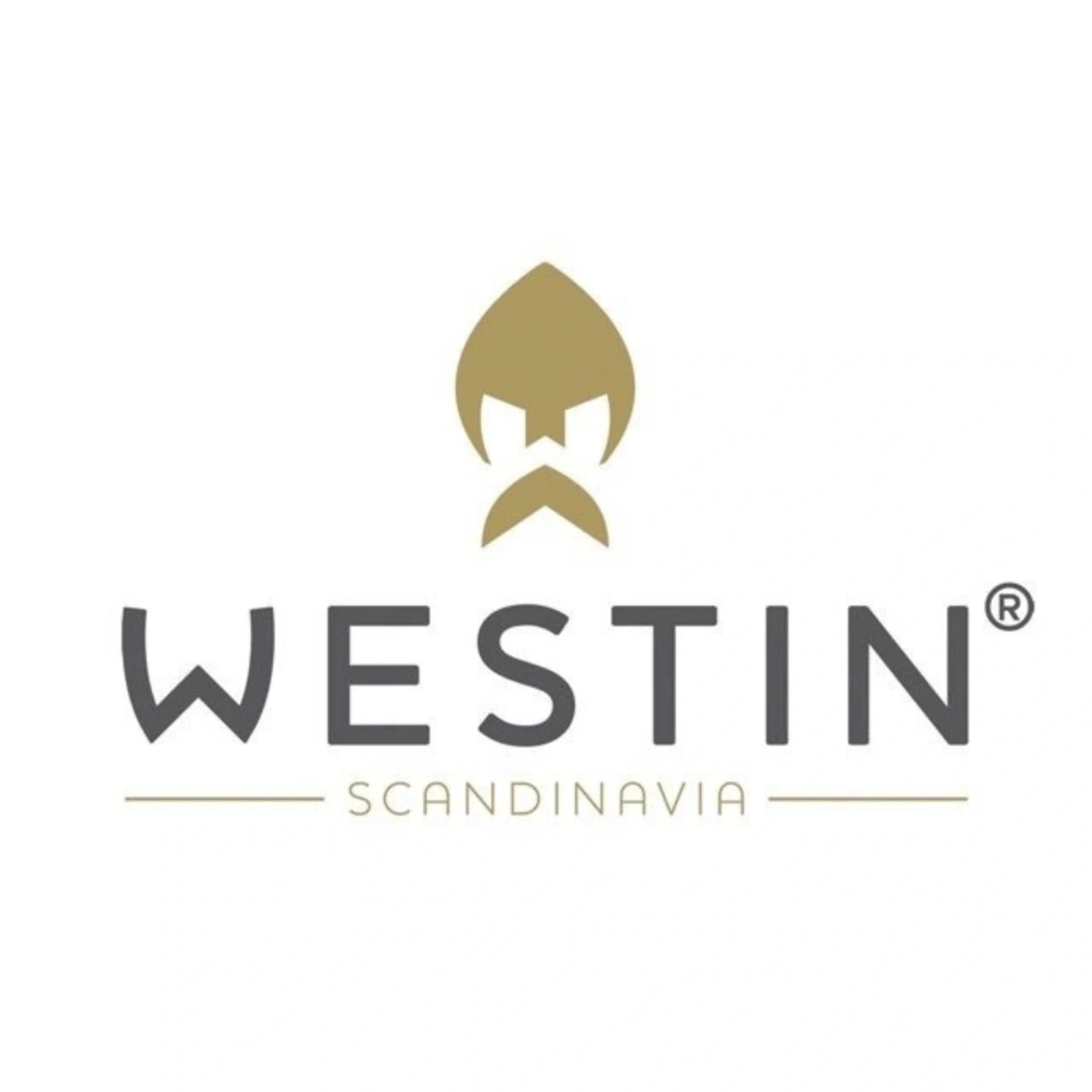 Guma Westin TwinTeez Pelagic V-Tail 17cm | Baitfish Ghost