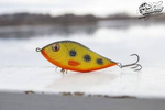 Jerk Kaszub Baits Danire 10cm | tonący | 40g | ZTB