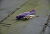 Gumy FishUp Catfish 5,0cm | 2" | #016/Lox/Green & Black | 8szt.