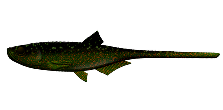 Przynęta Libra Lures Bleak Slug Tail 8.2" | 20.8 cm | 132 - Motor Oil Green