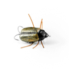 Wobler Imago Lures Maybug 2,5cm Surface Exclusive - pływający - BK