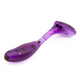 Cameleon Violet