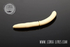 Przynęta Libra Lures Fatty D'Worm 7.5cm | 005 - Cheese | ser | 8 szt.
