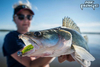 Guma Fox Rage Zander Pro Shad 16cm | UV Lemon tiger