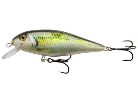 Wobler Kenart Falcon 8cm | GG | pływający |