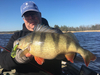 Guma Westin CreCraw Creaturebait 6,5cm | Holy Chartreuse