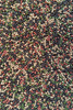 Micro Pellet Feeder Bait 2mm | Tutti Frutti- Green&Black&Red