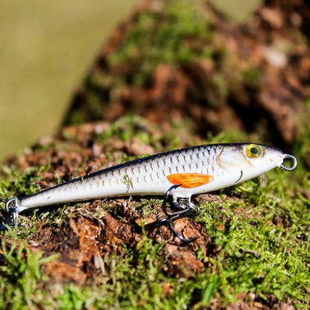 Wobler Engima Baits Comma 7cm | Kleń | tonący