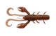 Wagasaki