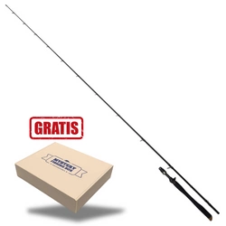Wędka WESTIN W3 LiveCast-T 2nd 6'8"/200cm MH 30-80g 1+1sec