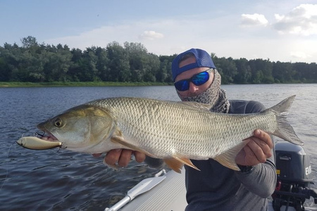 Wobler Gloog Hermes 7cm | 12g | tonący | SNP