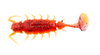 Guma Lucky John Alien Bug 1,5" | T48 | 10 szt.