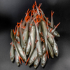 Guma Angry Lures Bleak V-Tail 20cm | NOO