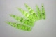 Chartreuse And Pepper