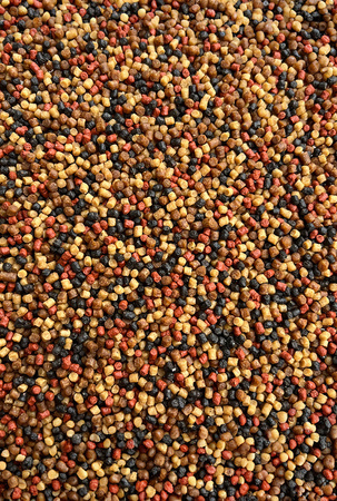 Micro Pellet Feeder Bait Prestige 2mm | Spice (Pikantna Kiełbasa/Robin Red)