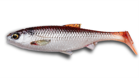 Guma Savage Gear 3D River Roach 14cm | Smelt