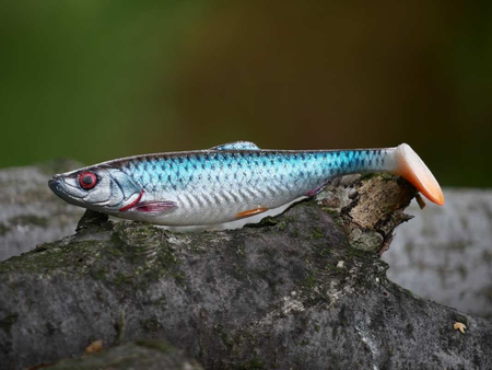 .Guma SAVAGE GEAR 4D HERRING SHAD 13cm Roach