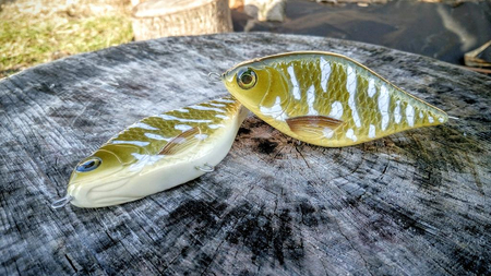 Jerk Lost Lures Ferox 10 cm - tonący - F6 - Pike