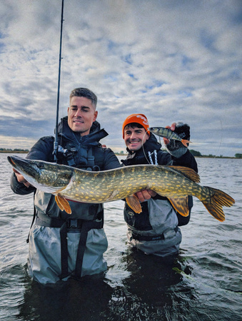 Przynęta Nays TRN 190 | 19cm | 56g | S-38