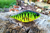 Jerk Lost Lures Ferox 7cm - tonący - F28 - Crazy Tiger