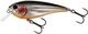 Steel Sardine