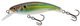 Real Holographic Shad