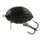 2 \ Black Bug