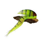 Mucha szczupakowa dwuczęściowa Predator Fly Manufacture 25cm | XL 01