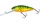 Hot Perch