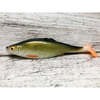 Guma SEWRO CUSTOM BAIT Wzdręga 14cm