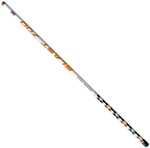 Wędka Brain Blast Pole 500cm