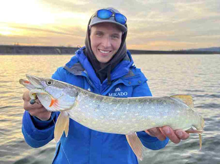 Guma Mikado MFT Roach 8cm Pike