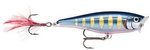 Popper Rapala Skitter Pop 5cm | STHB