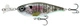 Bluegill