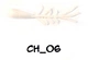 CH_06